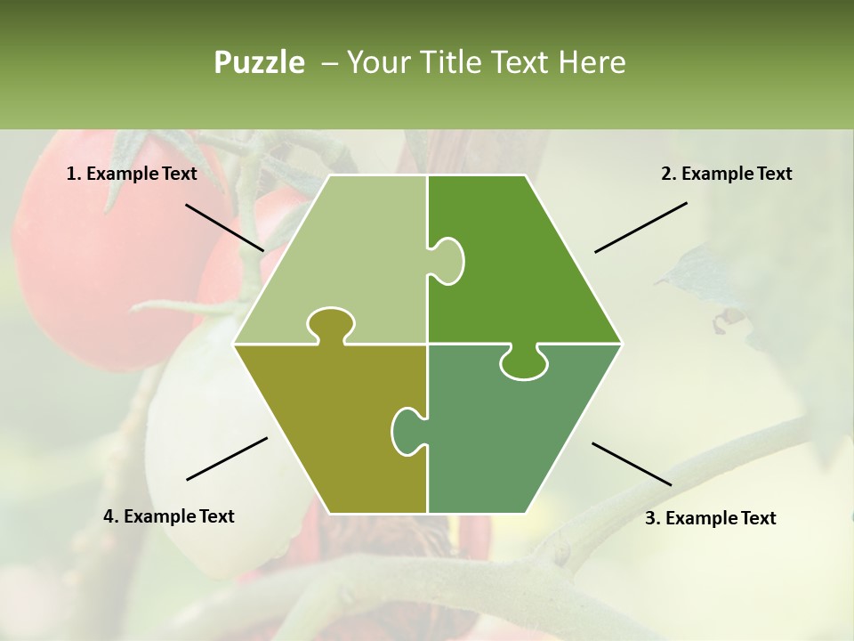 A Group Of Tomatoes Growing On A Tree PowerPoint Template