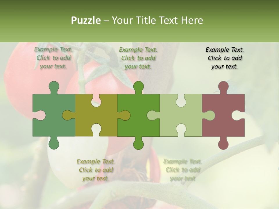 A Group Of Tomatoes Growing On A Tree PowerPoint Template