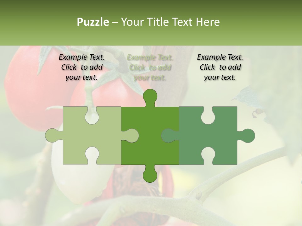 A Group Of Tomatoes Growing On A Tree PowerPoint Template