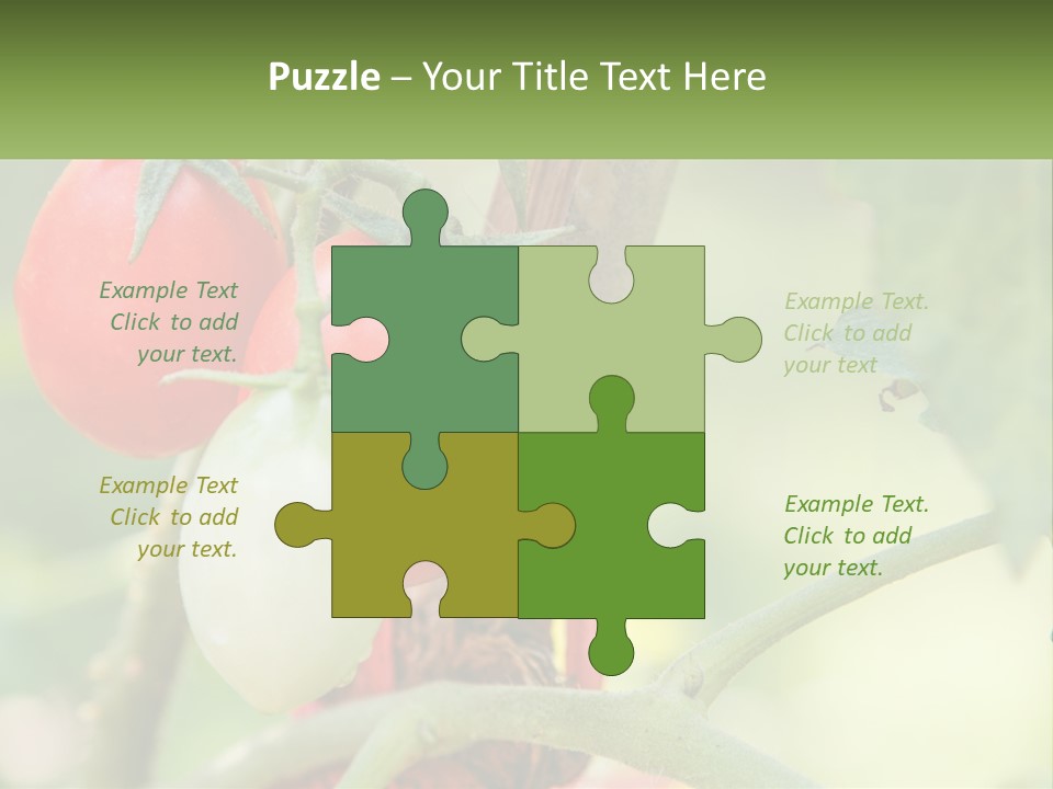 A Group Of Tomatoes Growing On A Tree PowerPoint Template