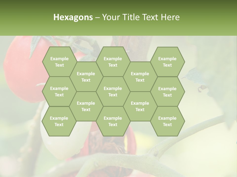A Group Of Tomatoes Growing On A Tree PowerPoint Template