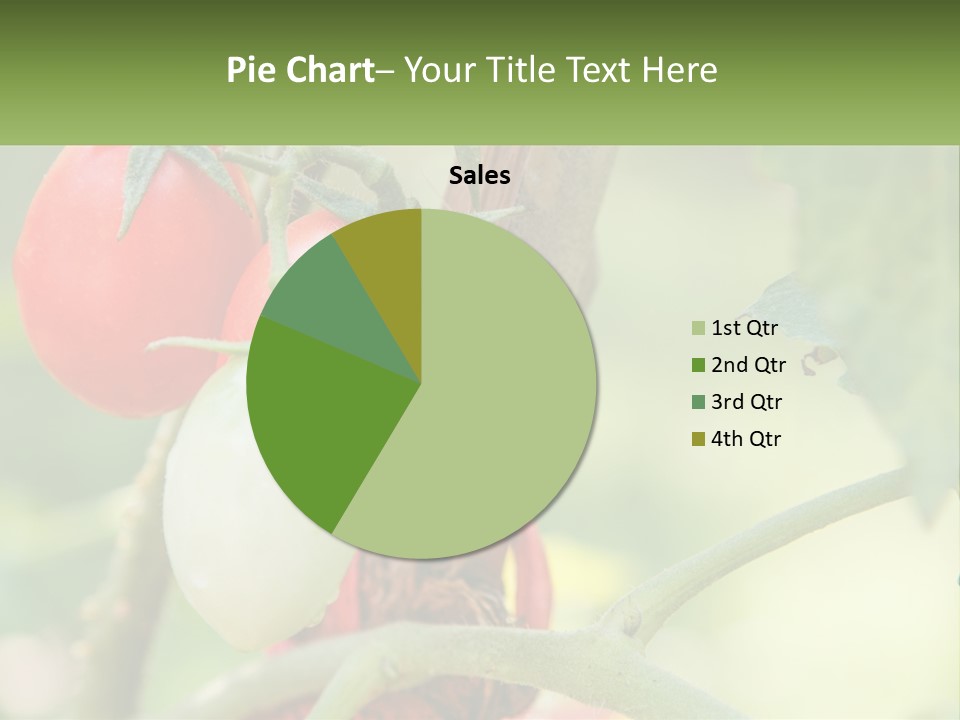 A Group Of Tomatoes Growing On A Tree PowerPoint Template