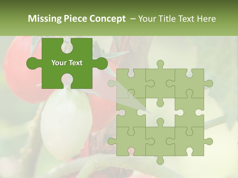 A Group Of Tomatoes Growing On A Tree PowerPoint Template