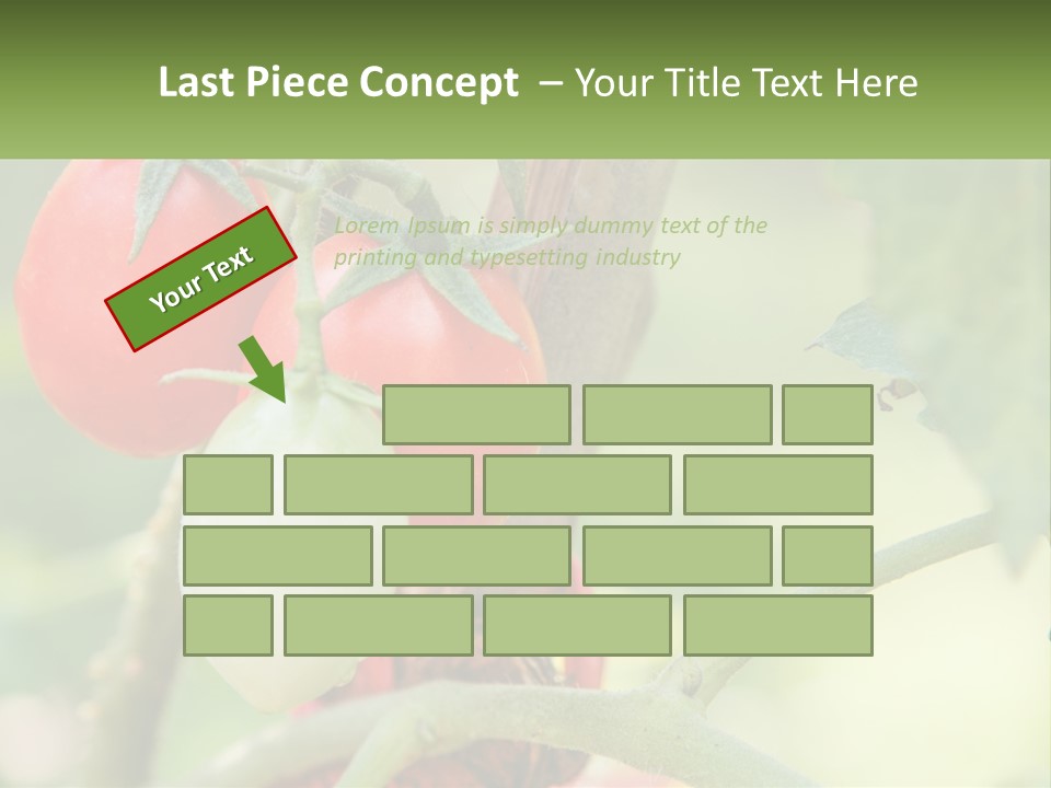 A Group Of Tomatoes Growing On A Tree PowerPoint Template