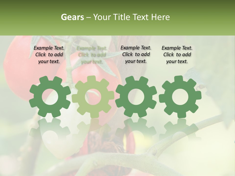 A Group Of Tomatoes Growing On A Tree PowerPoint Template