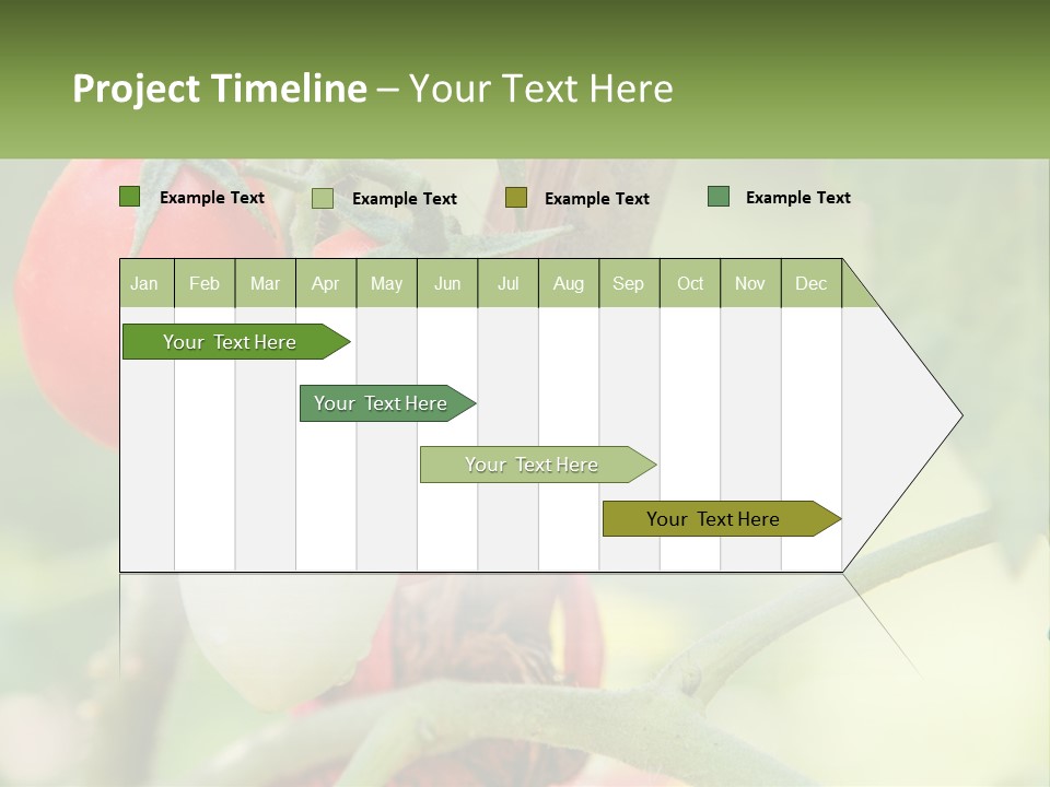 A Group Of Tomatoes Growing On A Tree PowerPoint Template