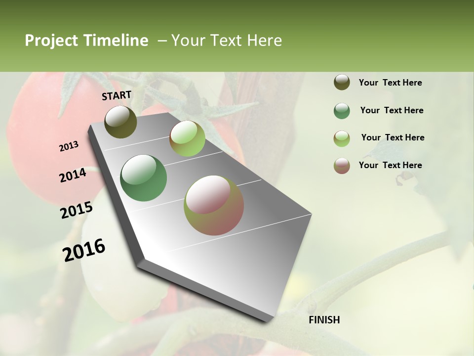 A Group Of Tomatoes Growing On A Tree PowerPoint Template