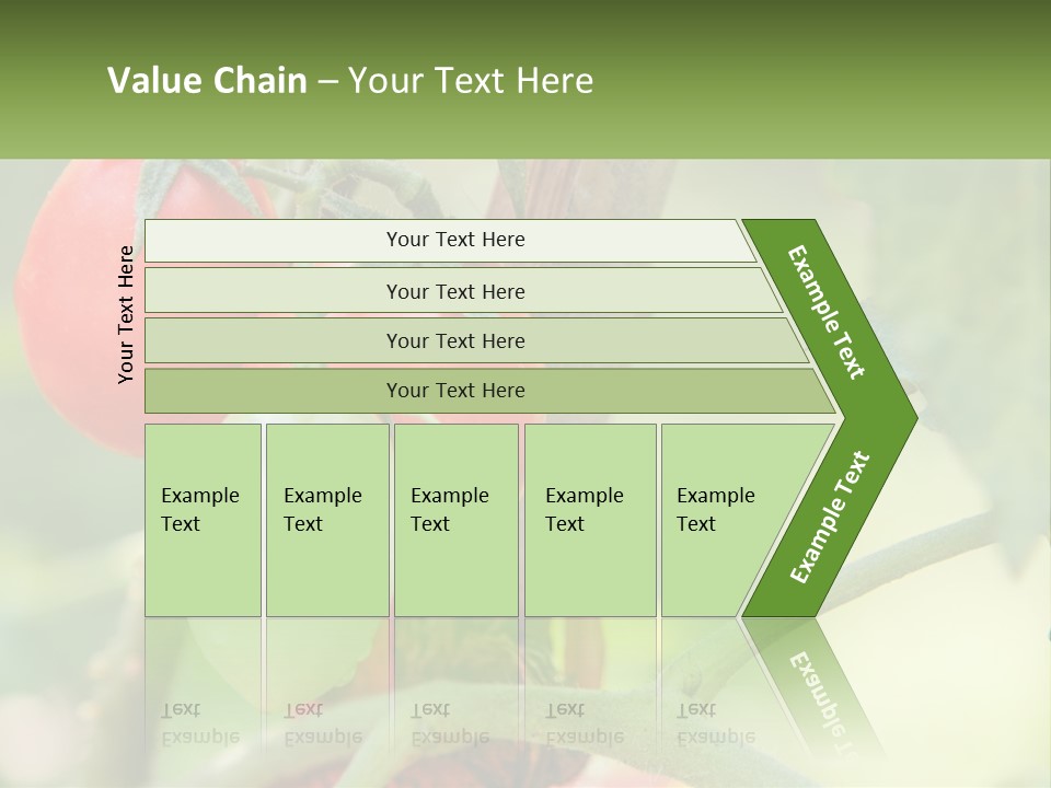 A Group Of Tomatoes Growing On A Tree PowerPoint Template