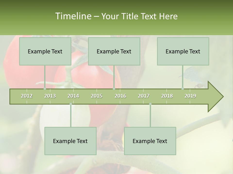 A Group Of Tomatoes Growing On A Tree PowerPoint Template