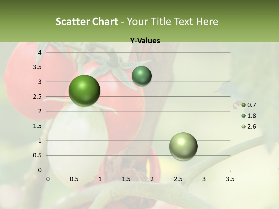 A Group Of Tomatoes Growing On A Tree PowerPoint Template