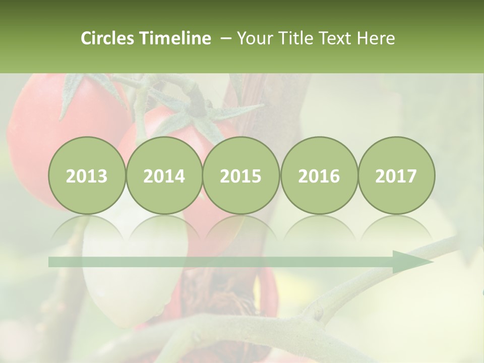 A Group Of Tomatoes Growing On A Tree PowerPoint Template