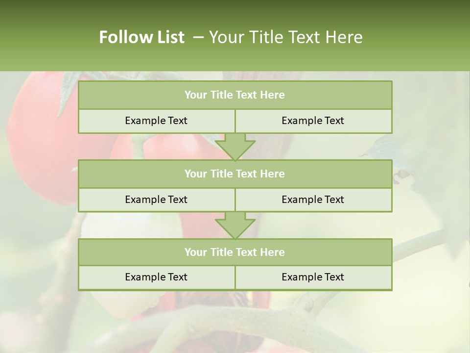 A Group Of Tomatoes Growing On A Tree PowerPoint Template