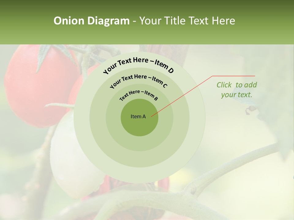 A Group Of Tomatoes Growing On A Tree PowerPoint Template