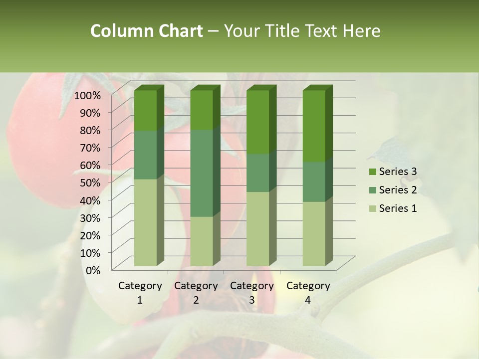 A Group Of Tomatoes Growing On A Tree PowerPoint Template