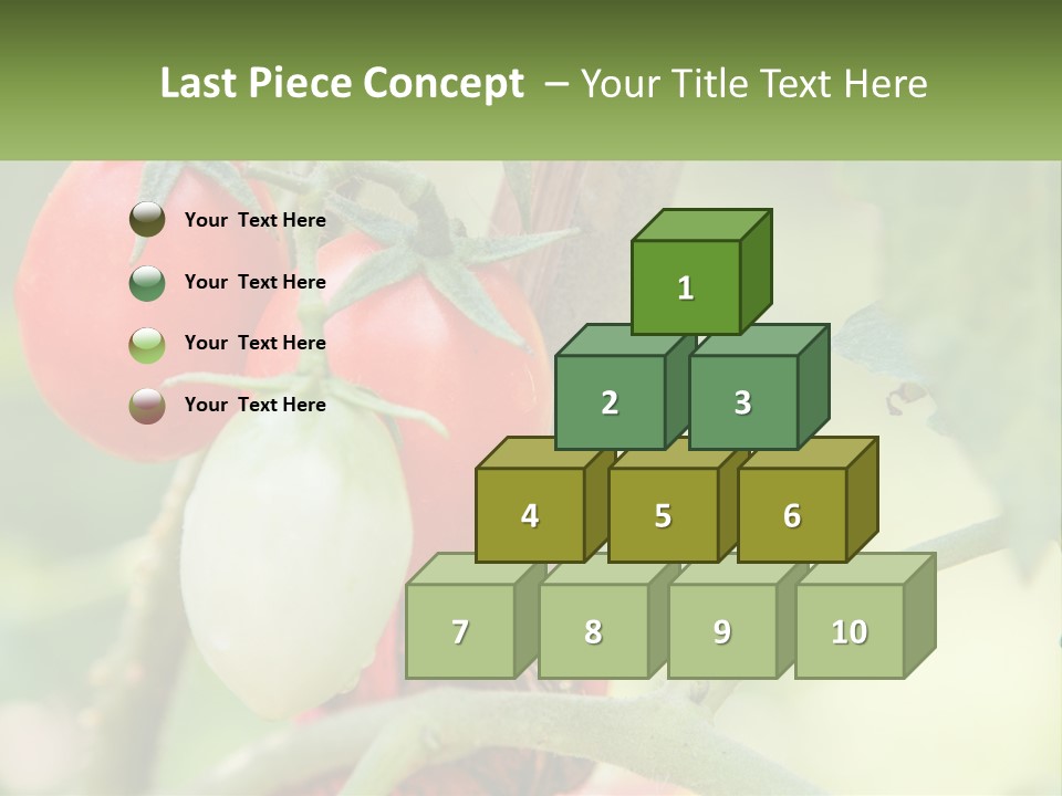 A Group Of Tomatoes Growing On A Tree PowerPoint Template