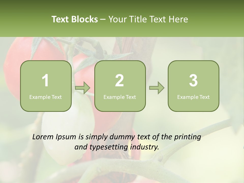 A Group Of Tomatoes Growing On A Tree PowerPoint Template