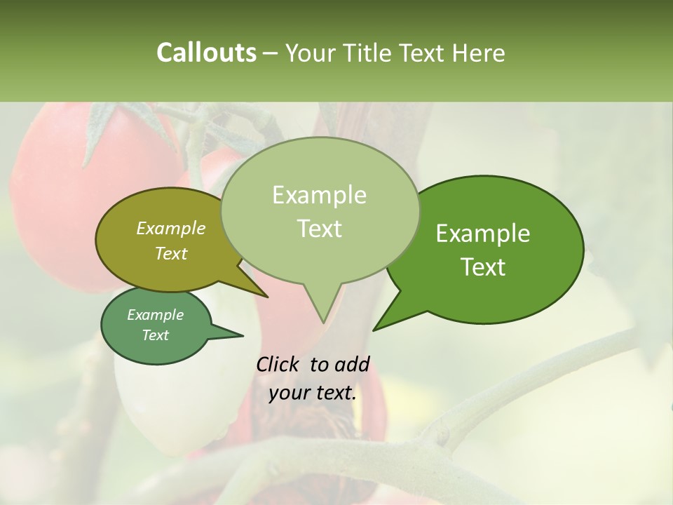 A Group Of Tomatoes Growing On A Tree PowerPoint Template
