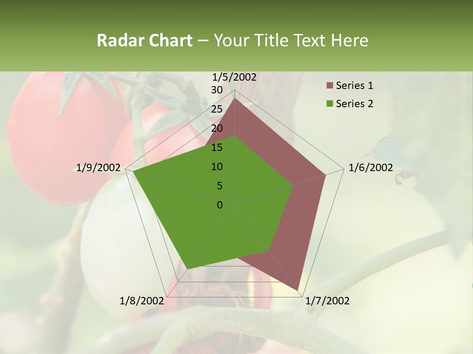 A Group Of Tomatoes Growing On A Tree PowerPoint Template