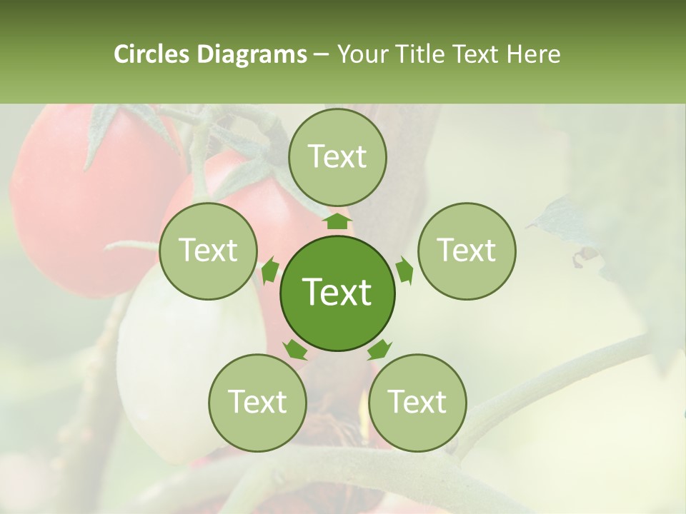 A Group Of Tomatoes Growing On A Tree PowerPoint Template
