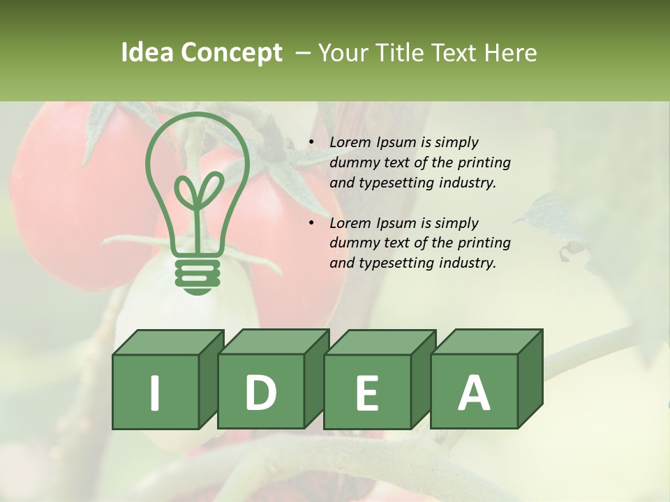 A Group Of Tomatoes Growing On A Tree PowerPoint Template