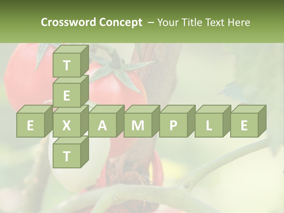 A Group Of Tomatoes Growing On A Tree PowerPoint Template