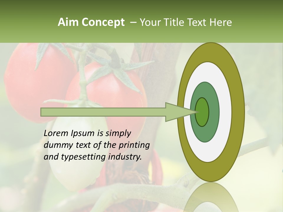 A Group Of Tomatoes Growing On A Tree PowerPoint Template