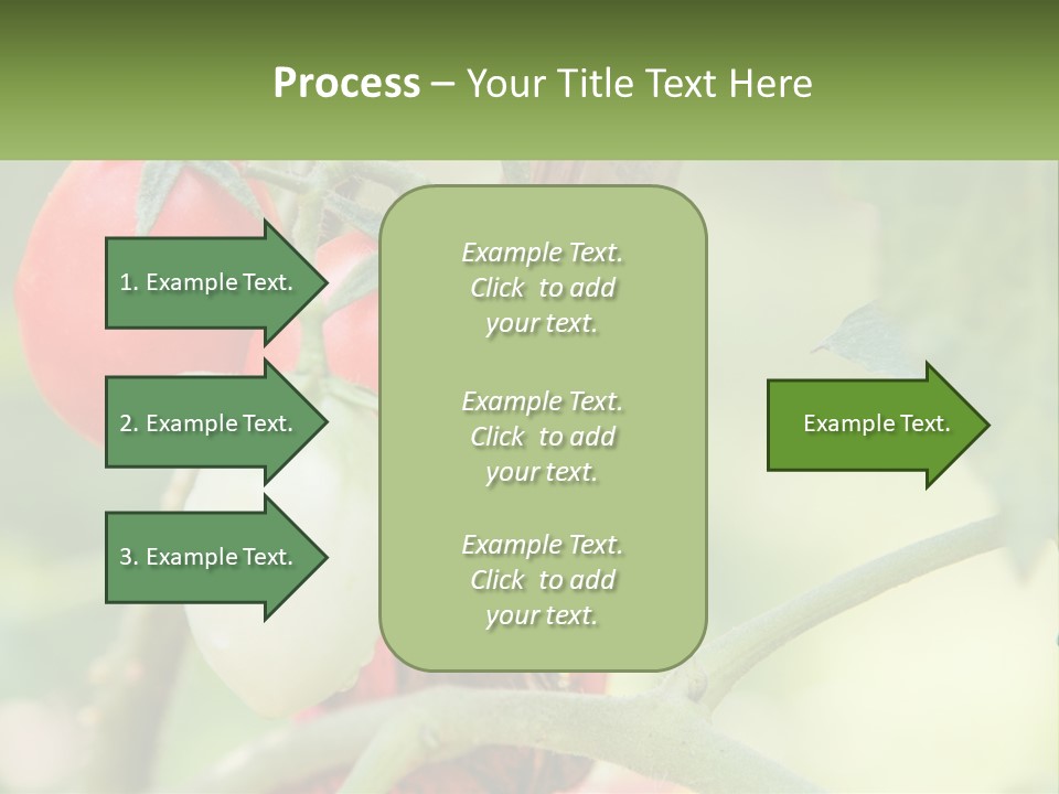 A Group Of Tomatoes Growing On A Tree PowerPoint Template
