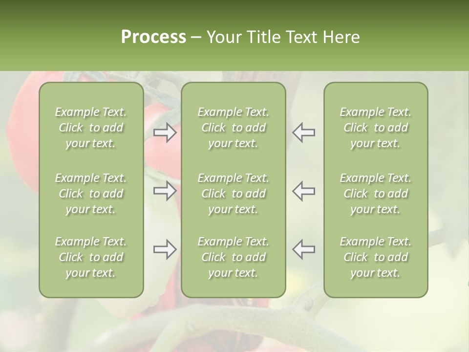 A Group Of Tomatoes Growing On A Tree PowerPoint Template