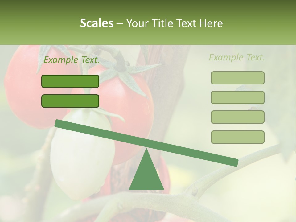 A Group Of Tomatoes Growing On A Tree PowerPoint Template