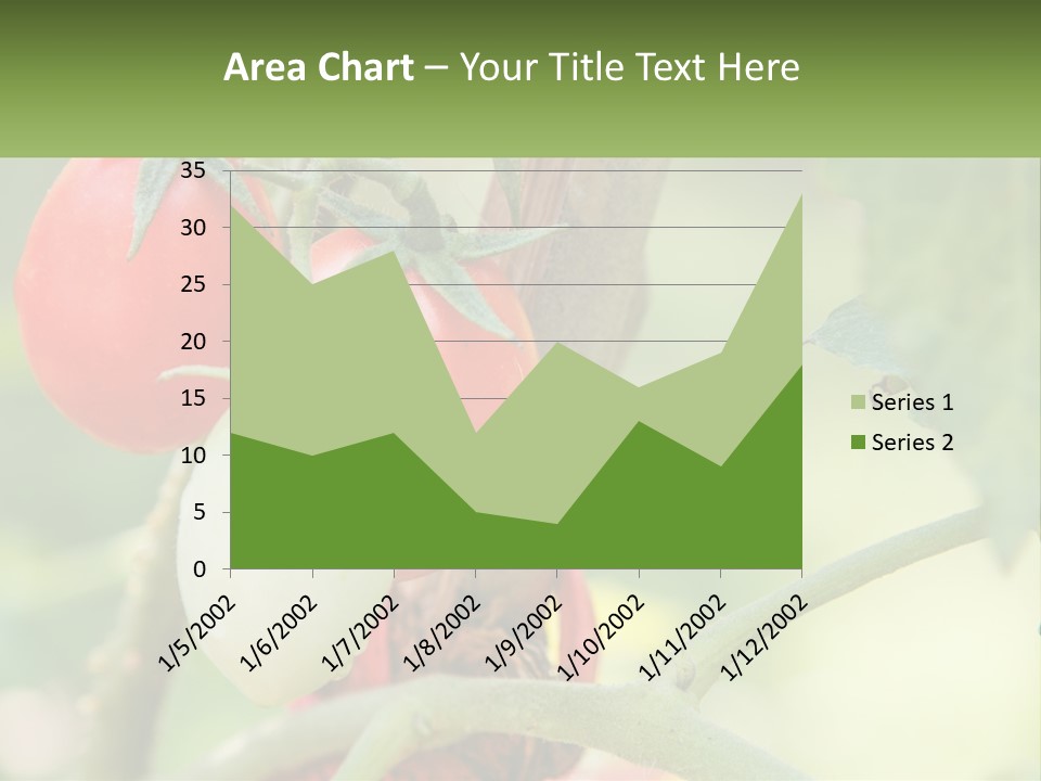 A Group Of Tomatoes Growing On A Tree PowerPoint Template