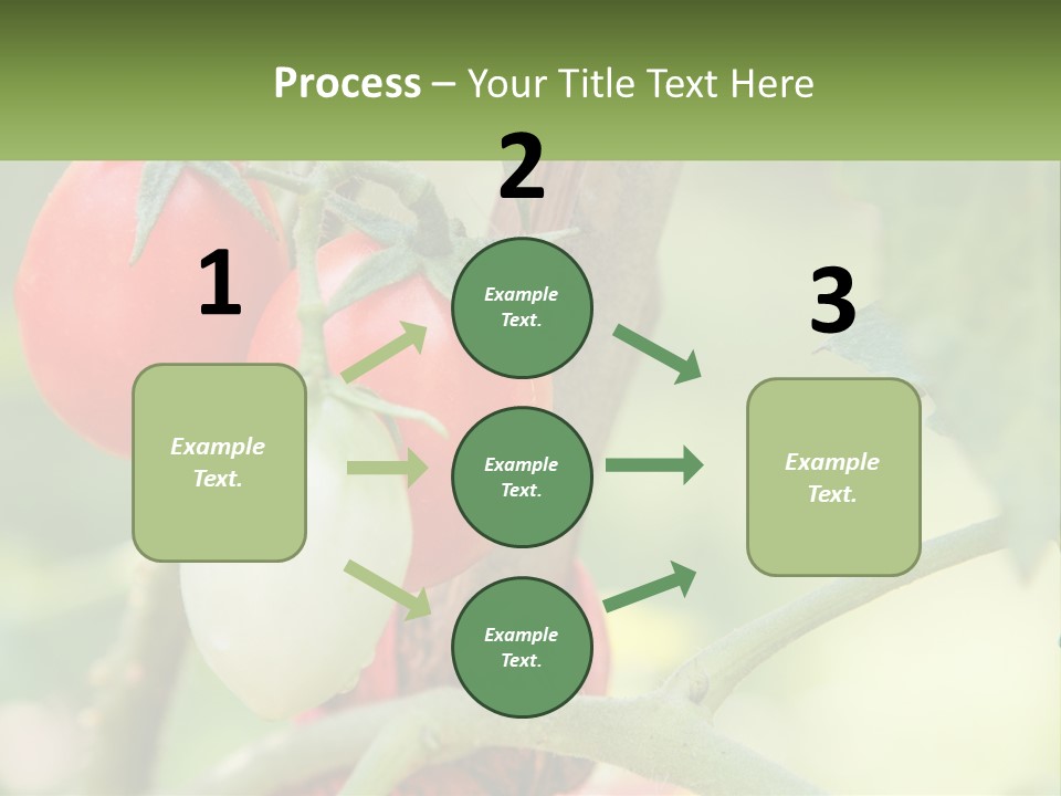 A Group Of Tomatoes Growing On A Tree PowerPoint Template