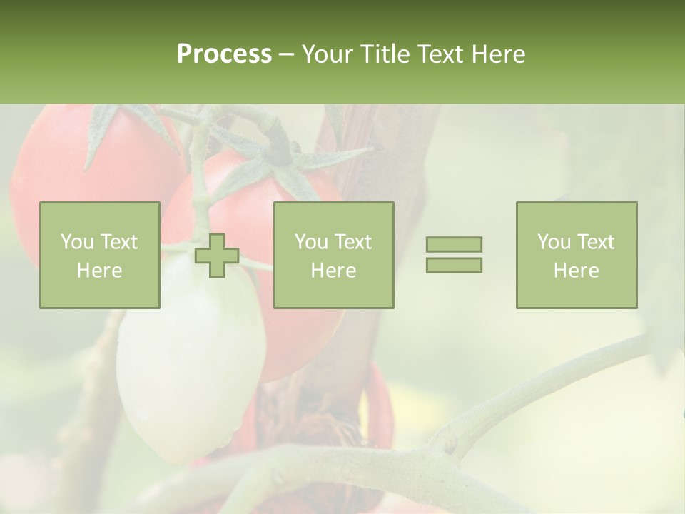 A Group Of Tomatoes Growing On A Tree PowerPoint Template