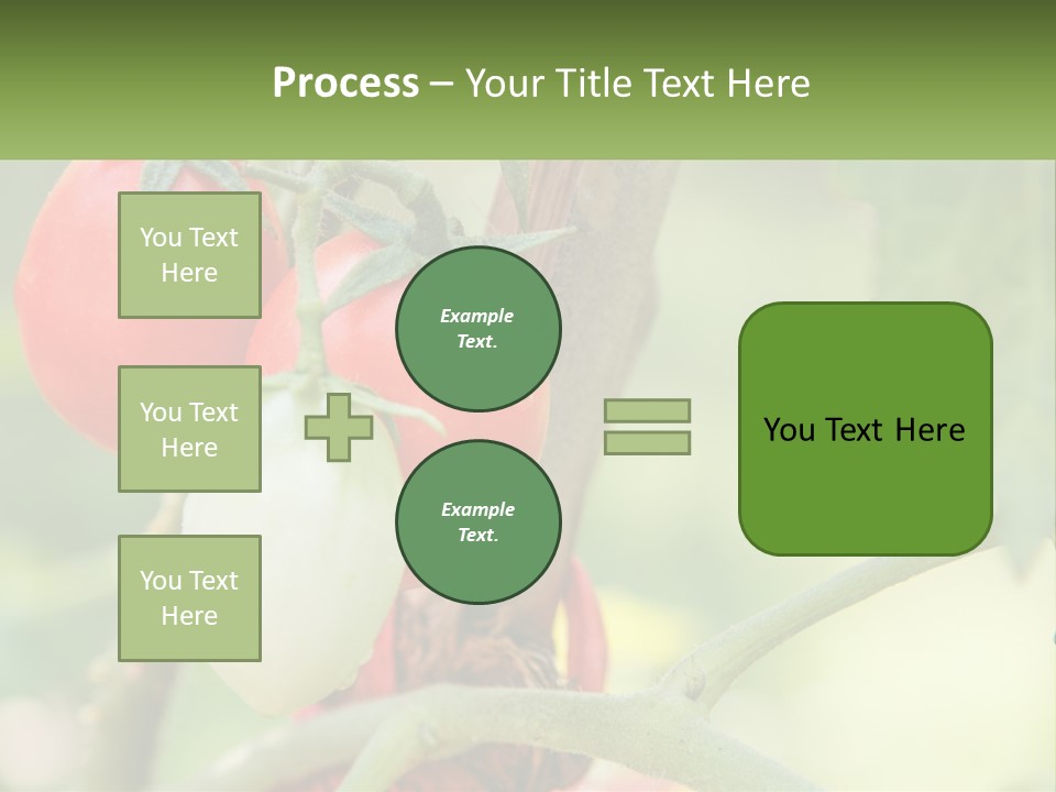 A Group Of Tomatoes Growing On A Tree PowerPoint Template