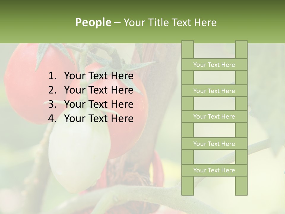 A Group Of Tomatoes Growing On A Tree PowerPoint Template