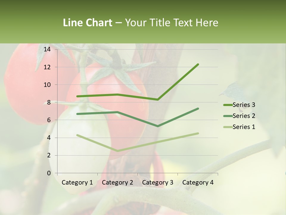 A Group Of Tomatoes Growing On A Tree PowerPoint Template