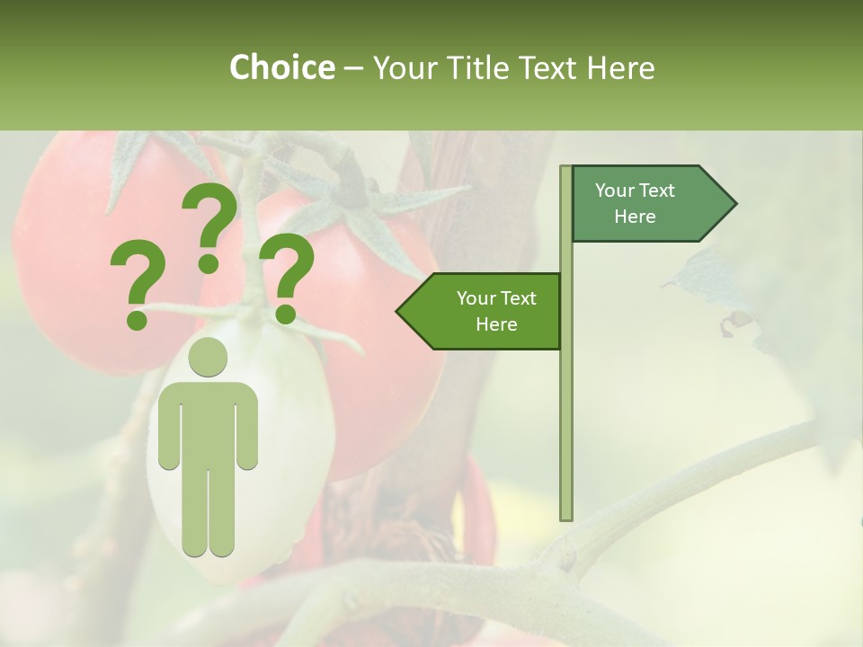 A Group Of Tomatoes Growing On A Tree PowerPoint Template