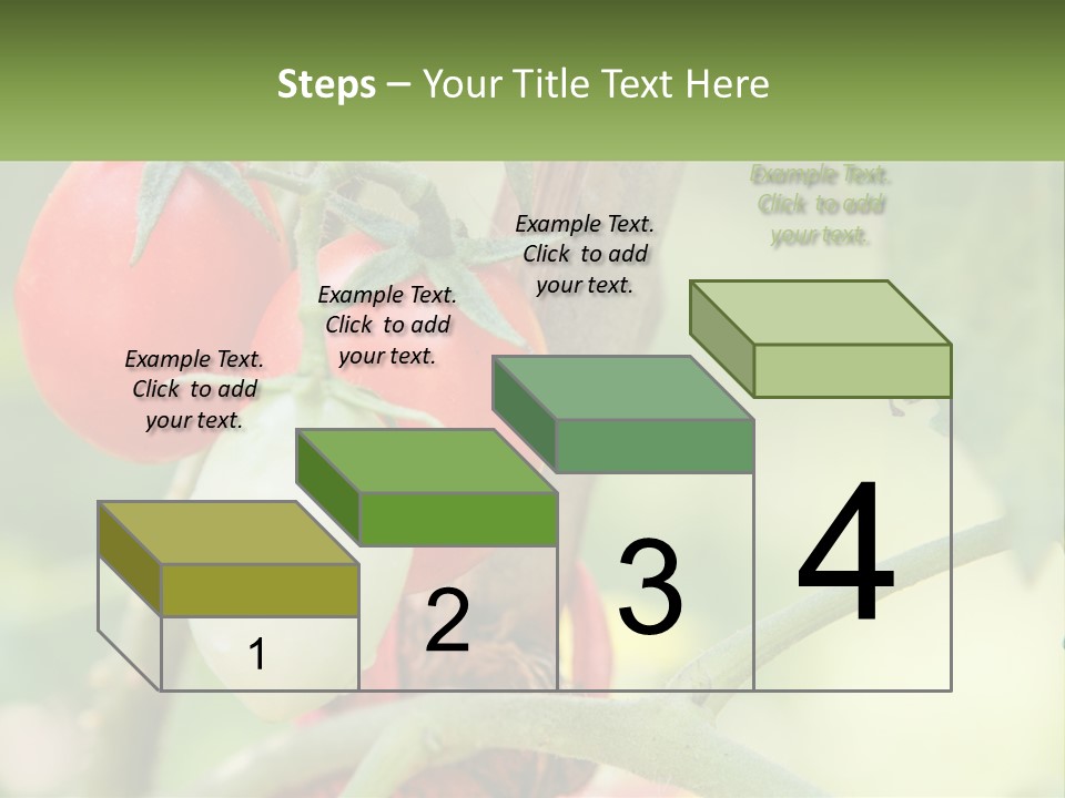 A Group Of Tomatoes Growing On A Tree PowerPoint Template