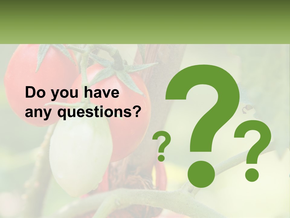 A Group Of Tomatoes Growing On A Tree PowerPoint Template