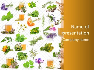 A Variety Of Flowers And Herbs On A White Background PowerPoint Template