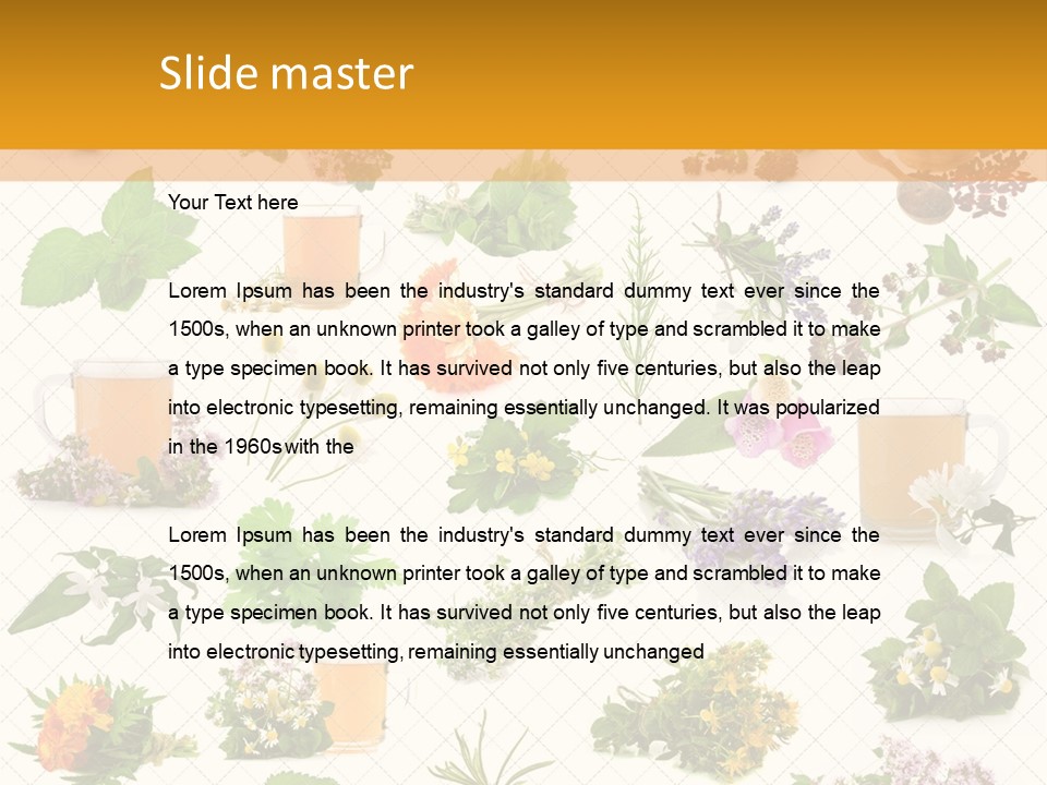 A Variety Of Flowers And Herbs On A White Background PowerPoint Template