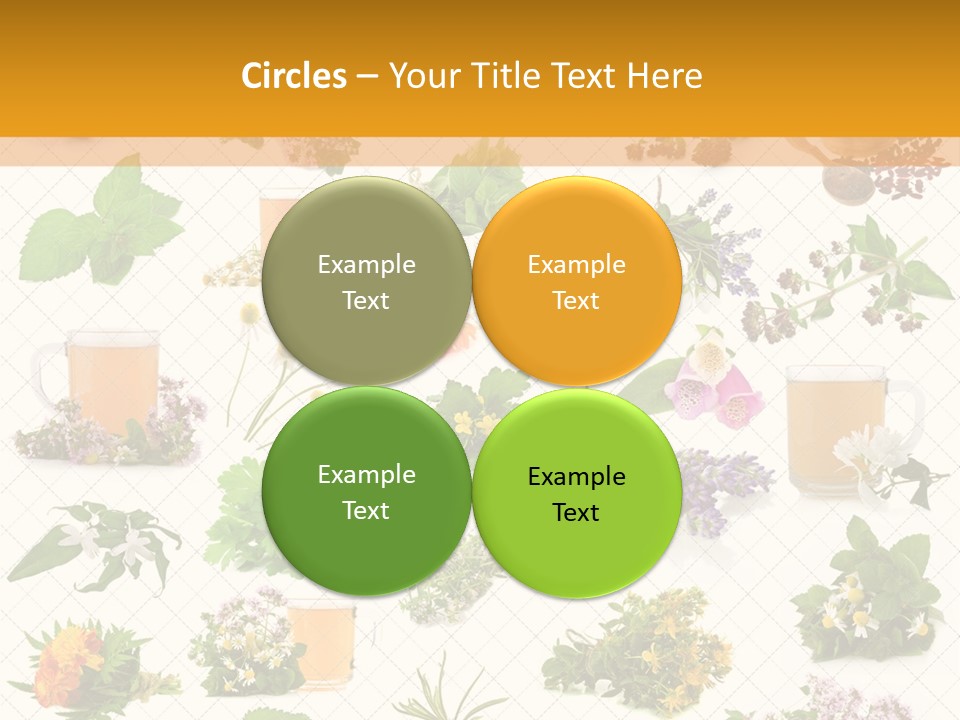 A Variety Of Flowers And Herbs On A White Background PowerPoint Template