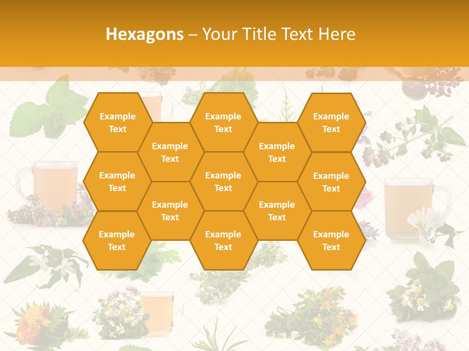 A Variety Of Flowers And Herbs On A White Background PowerPoint Template