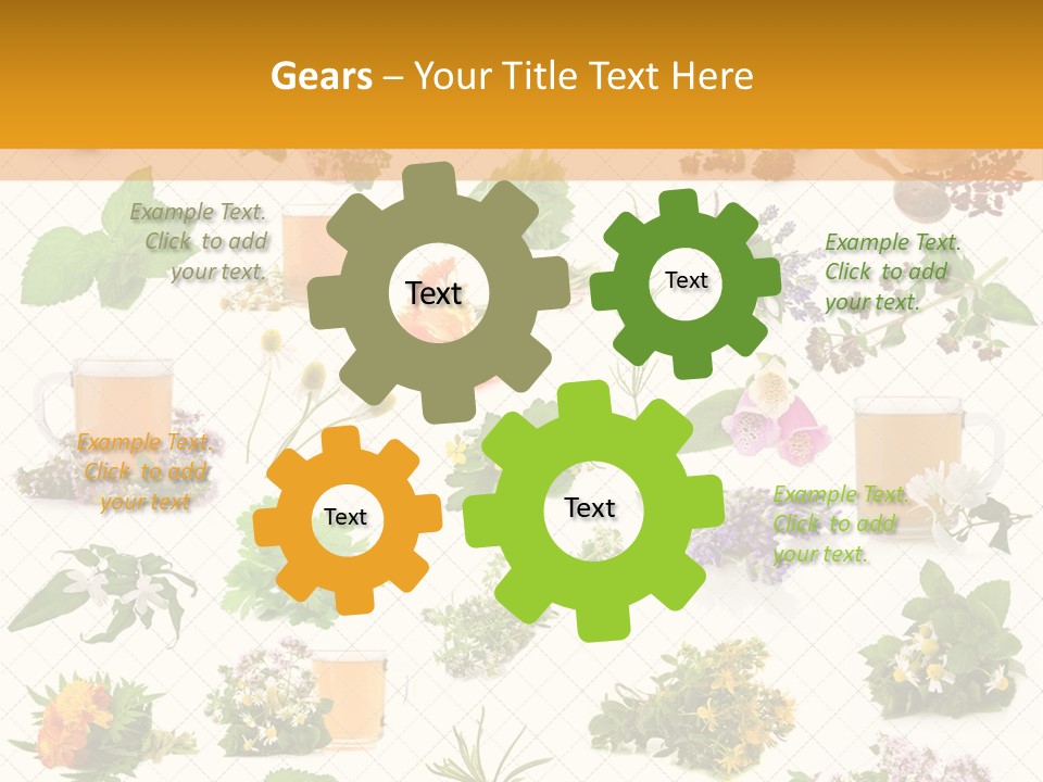 A Variety Of Flowers And Herbs On A White Background PowerPoint Template