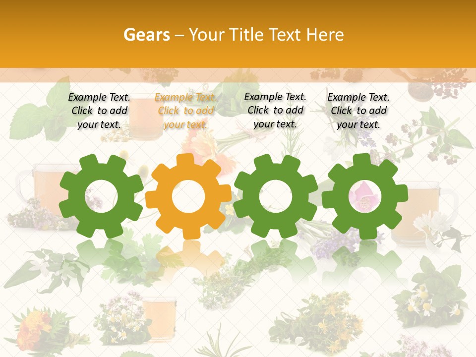 A Variety Of Flowers And Herbs On A White Background PowerPoint Template