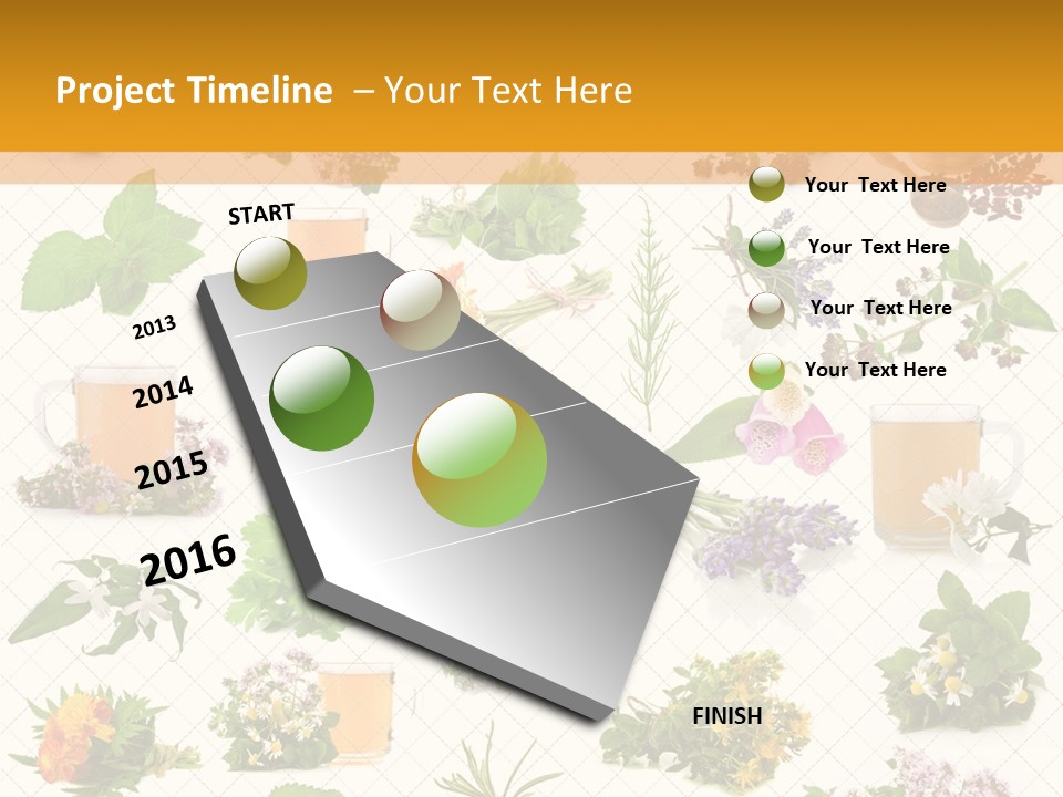 A Variety Of Flowers And Herbs On A White Background PowerPoint Template