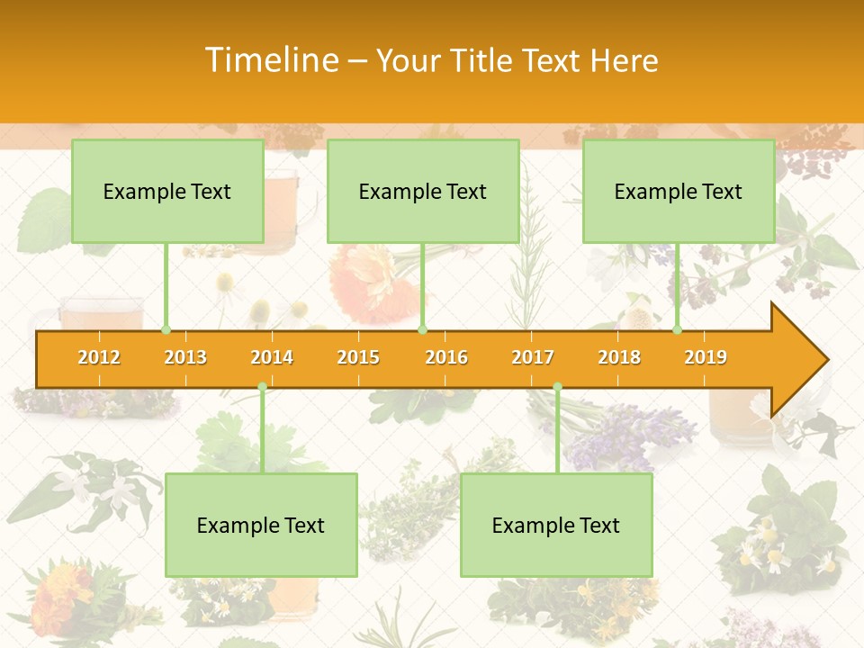 A Variety Of Flowers And Herbs On A White Background PowerPoint Template