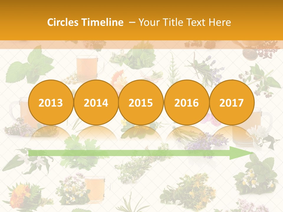 A Variety Of Flowers And Herbs On A White Background PowerPoint Template