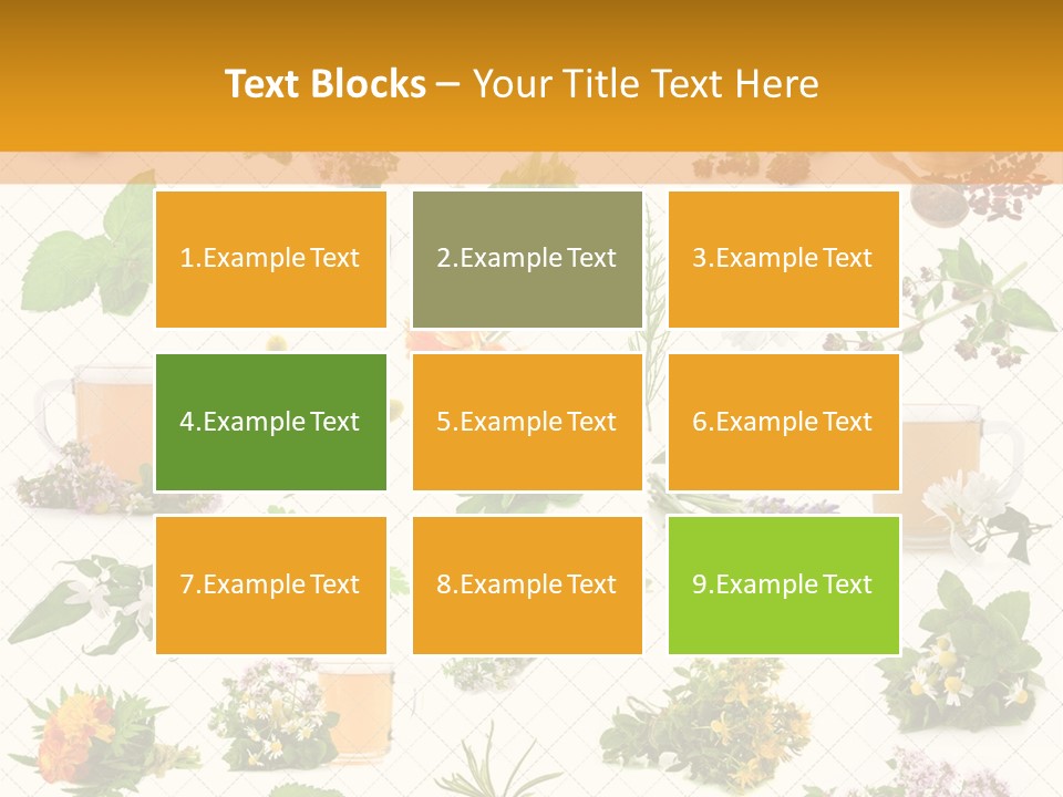 A Variety Of Flowers And Herbs On A White Background PowerPoint Template