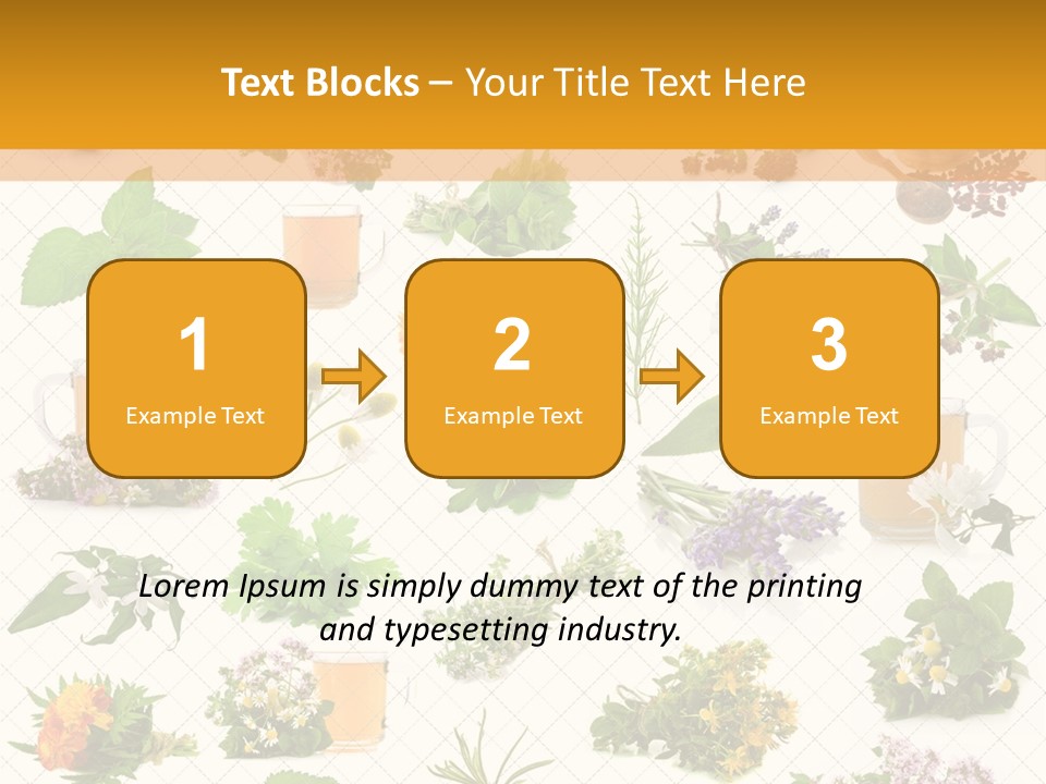A Variety Of Flowers And Herbs On A White Background PowerPoint Template