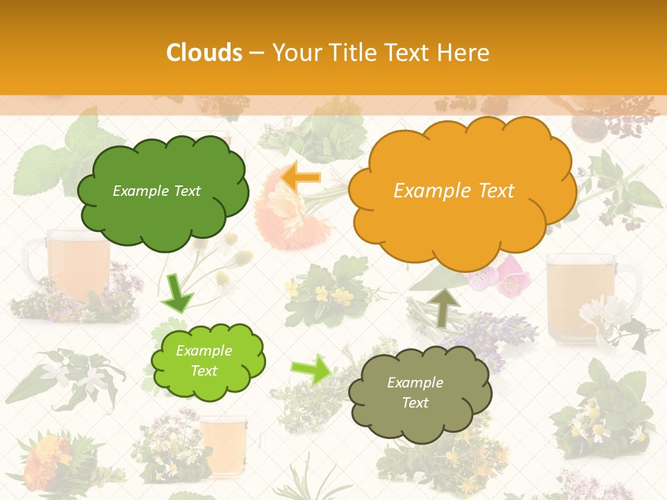 A Variety Of Flowers And Herbs On A White Background PowerPoint Template